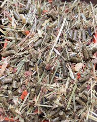 Premier Complete Muesli - 15kg