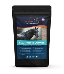 Electrolyte Cookies