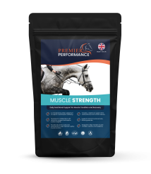 Muscle Strength