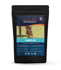LamiPlus