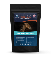 Grumpy Gelding