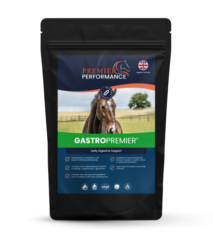 GastroPremier 