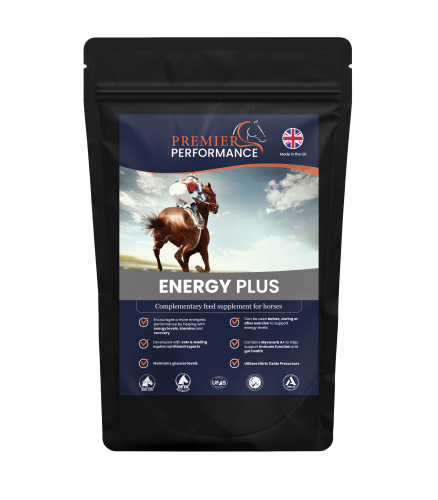 Energy Plus